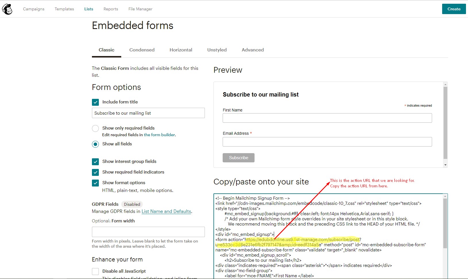 MailChimp - Embedded Forms Option 